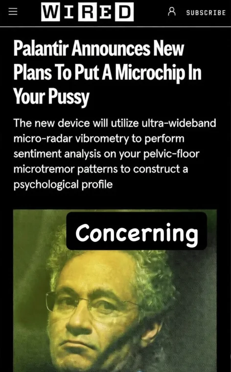 Palantir Announces New Plans to Put a Microchip in Your Pussy